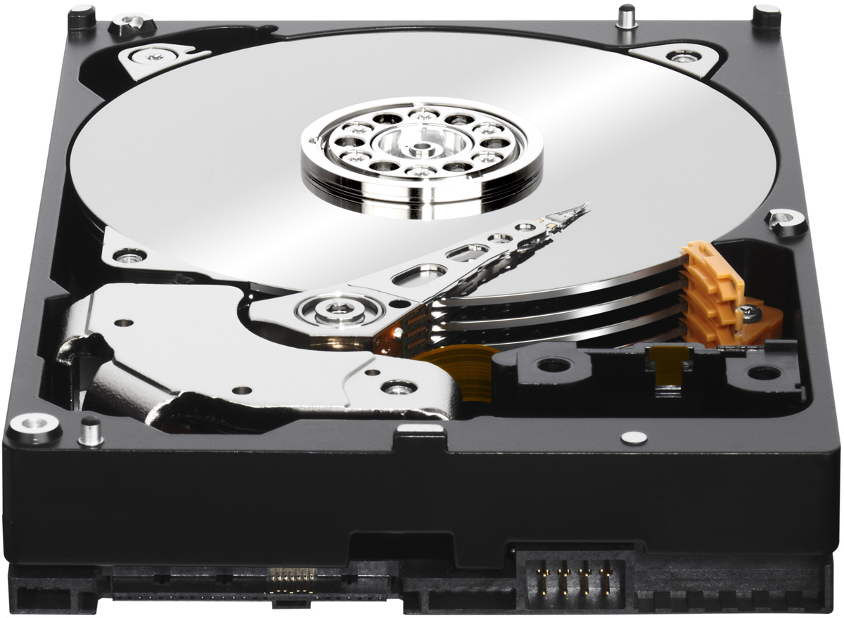 dramatisch neef R Seagate: 5.25-inch hard disk drives could return to datacentres | KitGuru