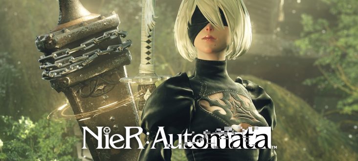 No graphic memory nier automata ошибка