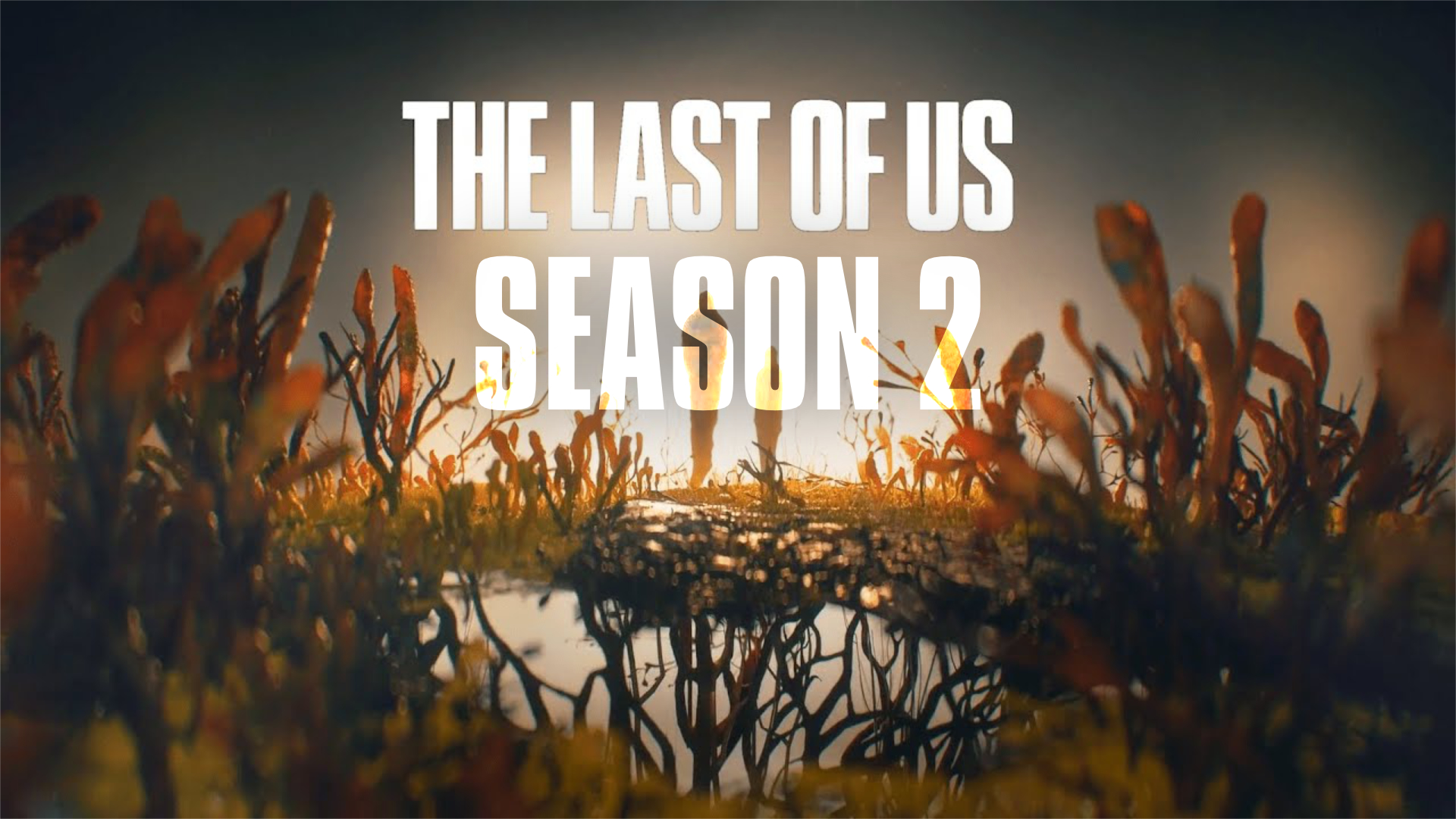 The Last of Us Season 2 may start filming in 2023